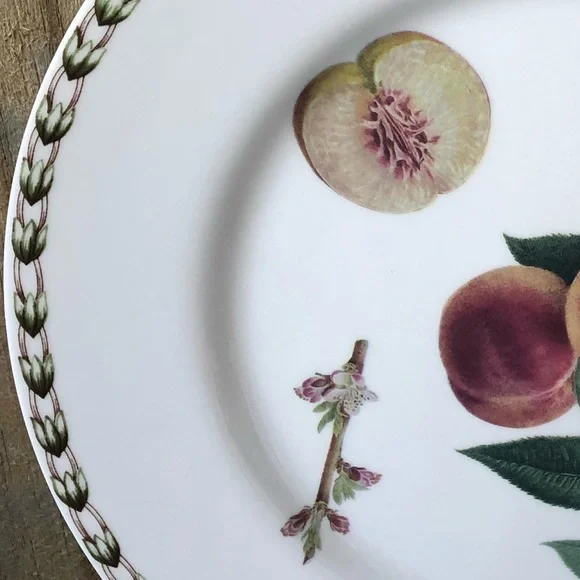 2 Queens Fine China Royal Horticulture Society Hookers Fruit Dinner Plates